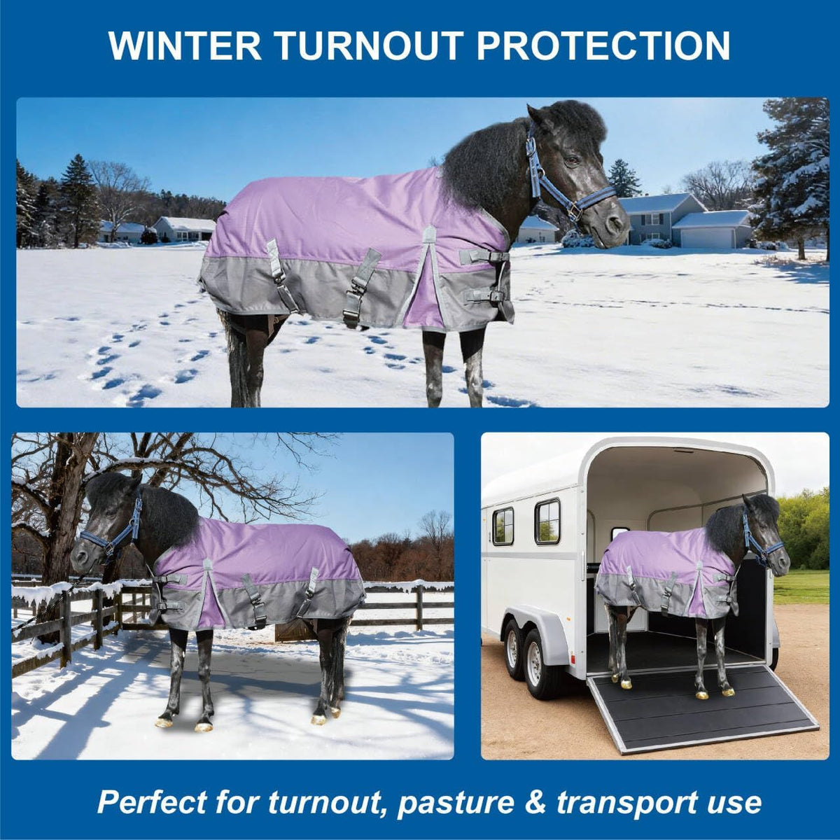 1200D Mini/Pony Horse Blanket, 200g Waterproof Winter Turnout