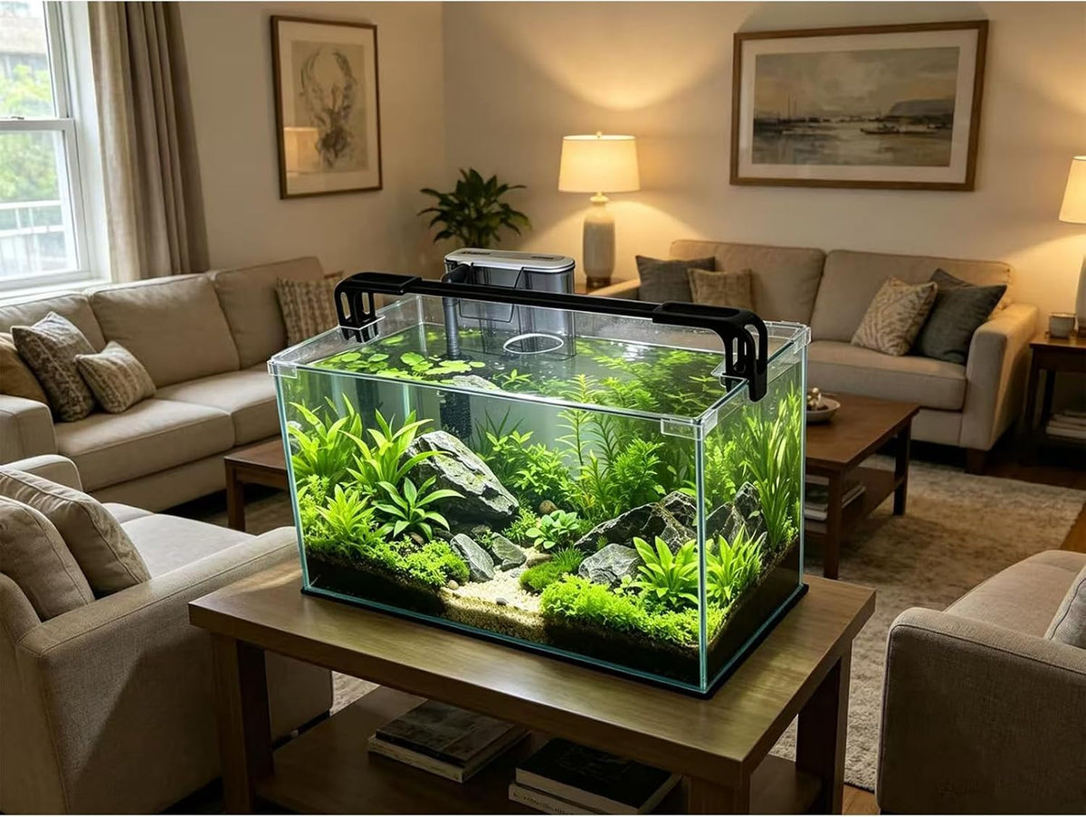 10 Gallon Glass Fish Tank, Easy to Maintain Small Aquarium for Betta/Shrimp and Aquatic Planting.