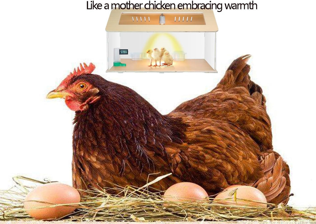 Newborns Chick Brooder Box Quail Cage Bird Playground Chick Starter Kit