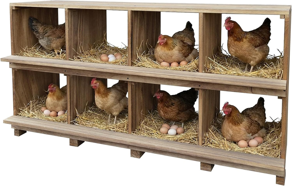 Nesting Boxes for Chickens, 8 Compartments Chicken Nesting Boxes