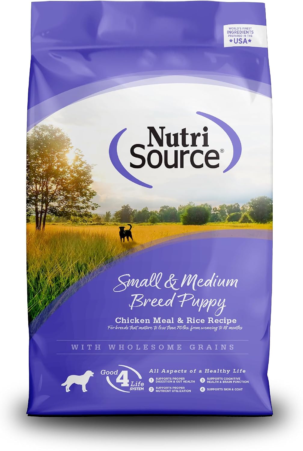 Small & Medium Breed Puppy Dry Dog Food, 4 lb