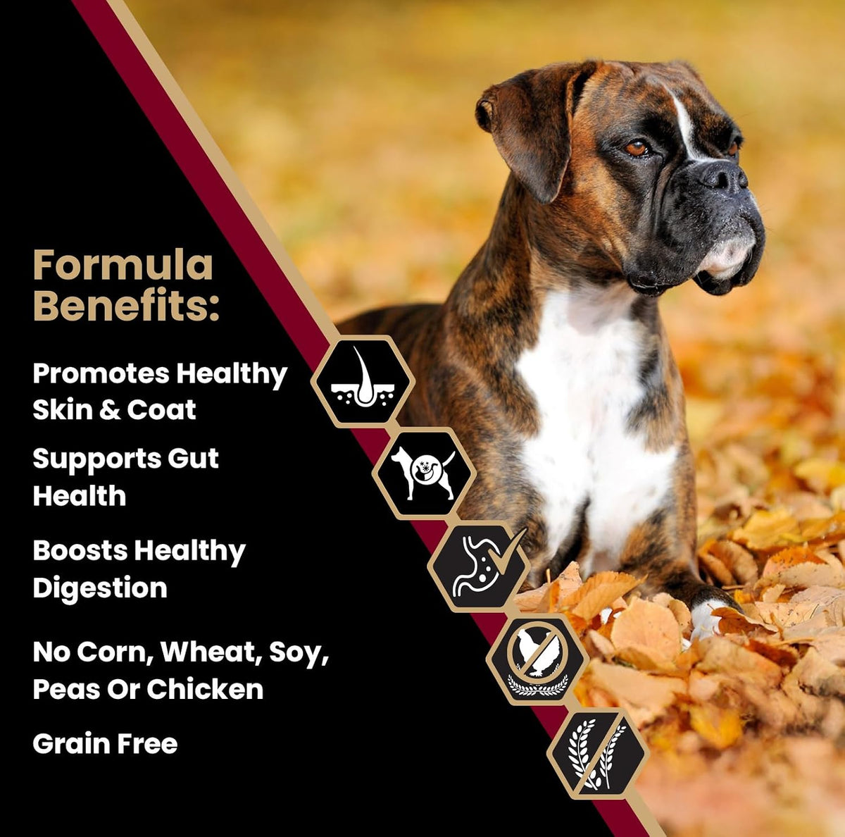 Sensitive Skin & Stomach - Lamb Meal & Sweet Potato Dog Food, 5 lb