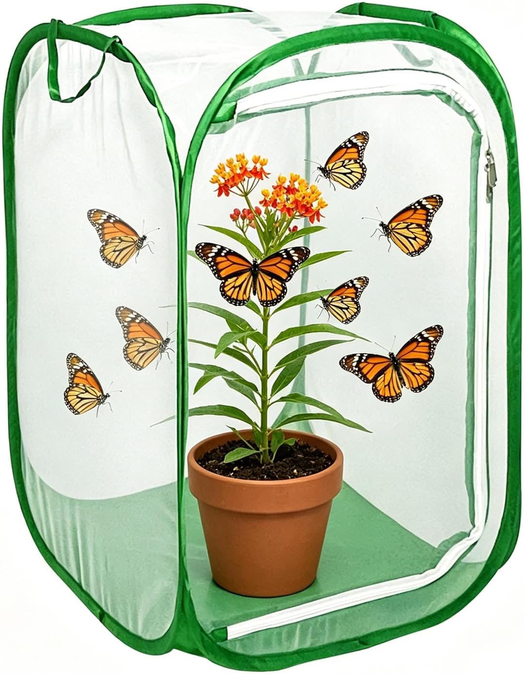 Butterfly House Habitat Insect Cage Clear See Through Pop-up Collapsible Butterfly Enclosure-Medium 15.8"x15.8"x23.6"