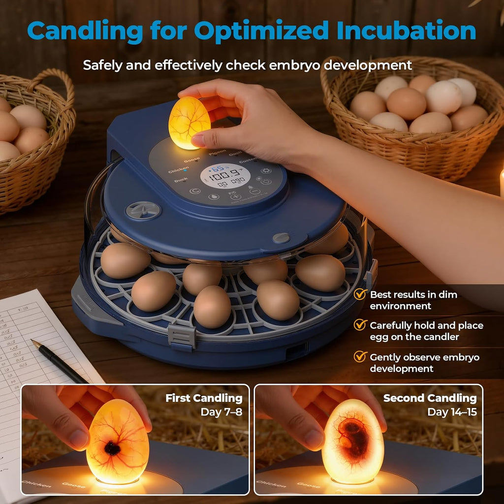 Egg Incubator for Hatching Eggs, 5 Preset Incubation Modes & 1 Custom Mode