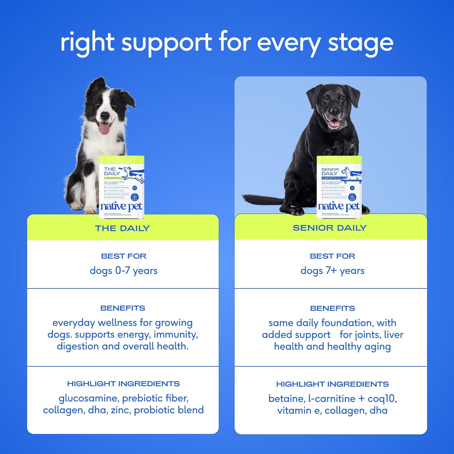 Senior Daily Dog Vitamins & Supplements – 12-in-1 Dog Multivitamin Powder for Senior Dogs – Supports Mobility
