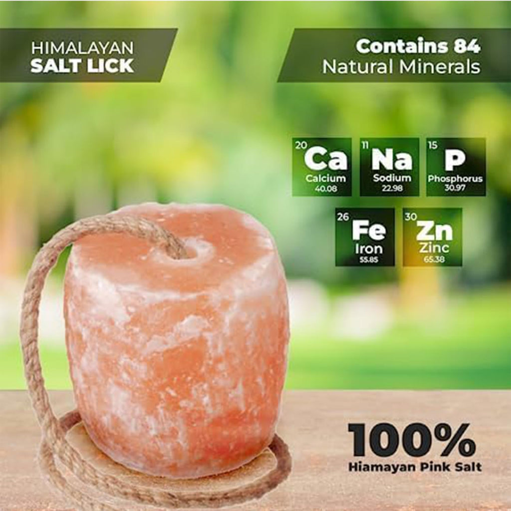ZK Himalayan Salt Lick for Horses, Livestock– (3-4 lbs) (Pack of 3 Natural Mineral Salt Block for Goats, Cattle &