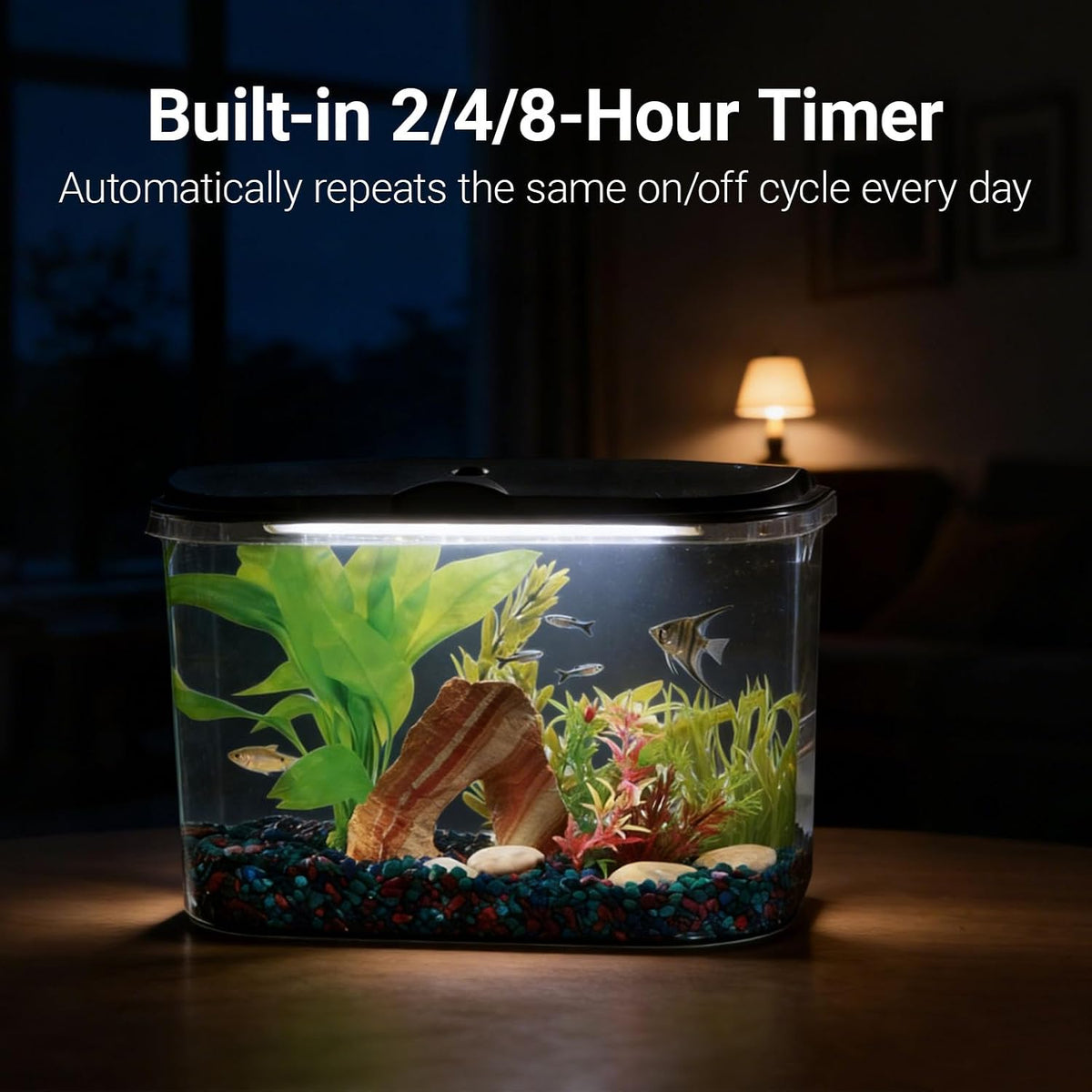5-Gallon Aquarium Kit with LED Lighting and Power Filter, Ideal for a Variety of Tropical Fish