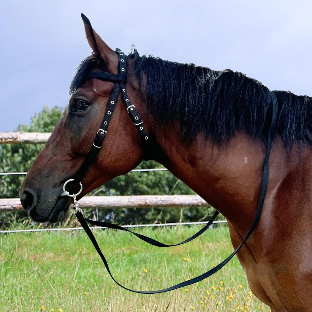 Adjustable Horse Bridle with Stainless Steel Bit - Equestrian Bridles and Horse Headstall（Black L