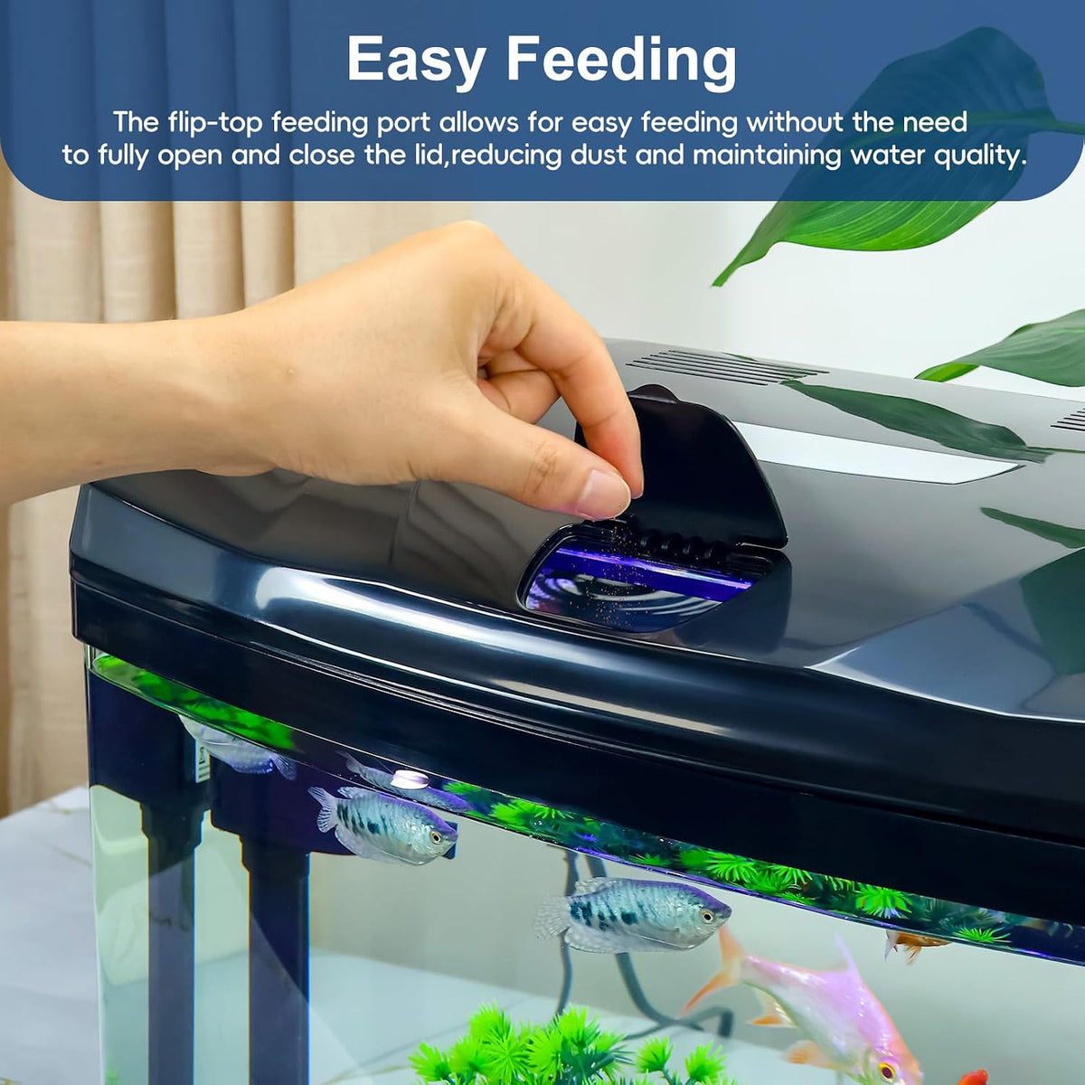 3 Gallon Glass Aquarium Betta Kit with Flip-Top Port