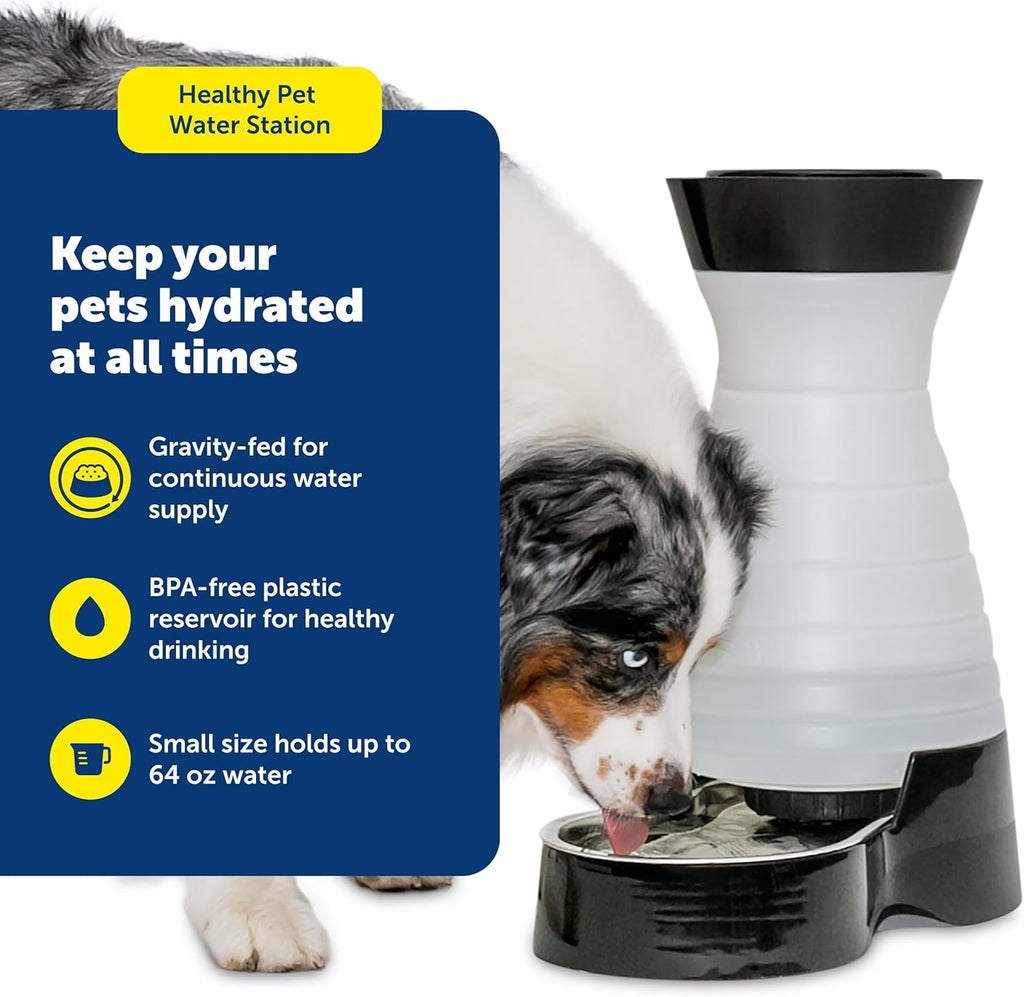 Healthy Pet Water Station - Small, 64 oz Capacity - Gravity Pet Water Fountain, Automatic Cat Water Fountain, Dog