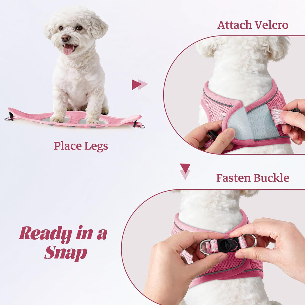 Dog Harness and Leash Set, No Pull Soft Mesh Pet Harness, Reflective Adjustable Puppy Vest for Small Medium Large