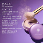 The Silk Powder, Talc-Free Translucent Setting Powder