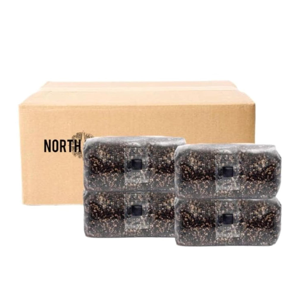 ShroomTek All-in-One Mushroom Grow Bag, 4-Pack