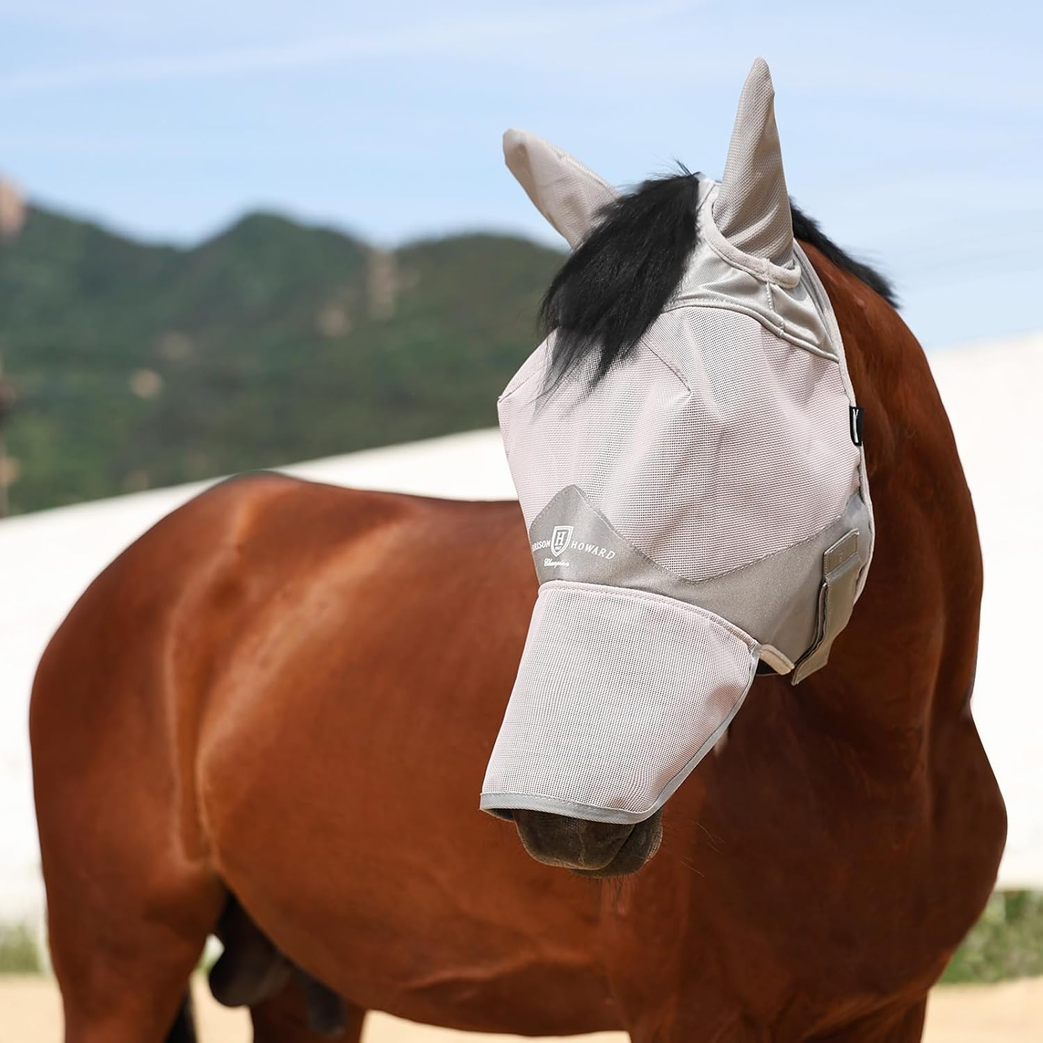 Full Face Horse Fly Mask UV Protection and Breathable for Equine Use Comfortable Grey L
