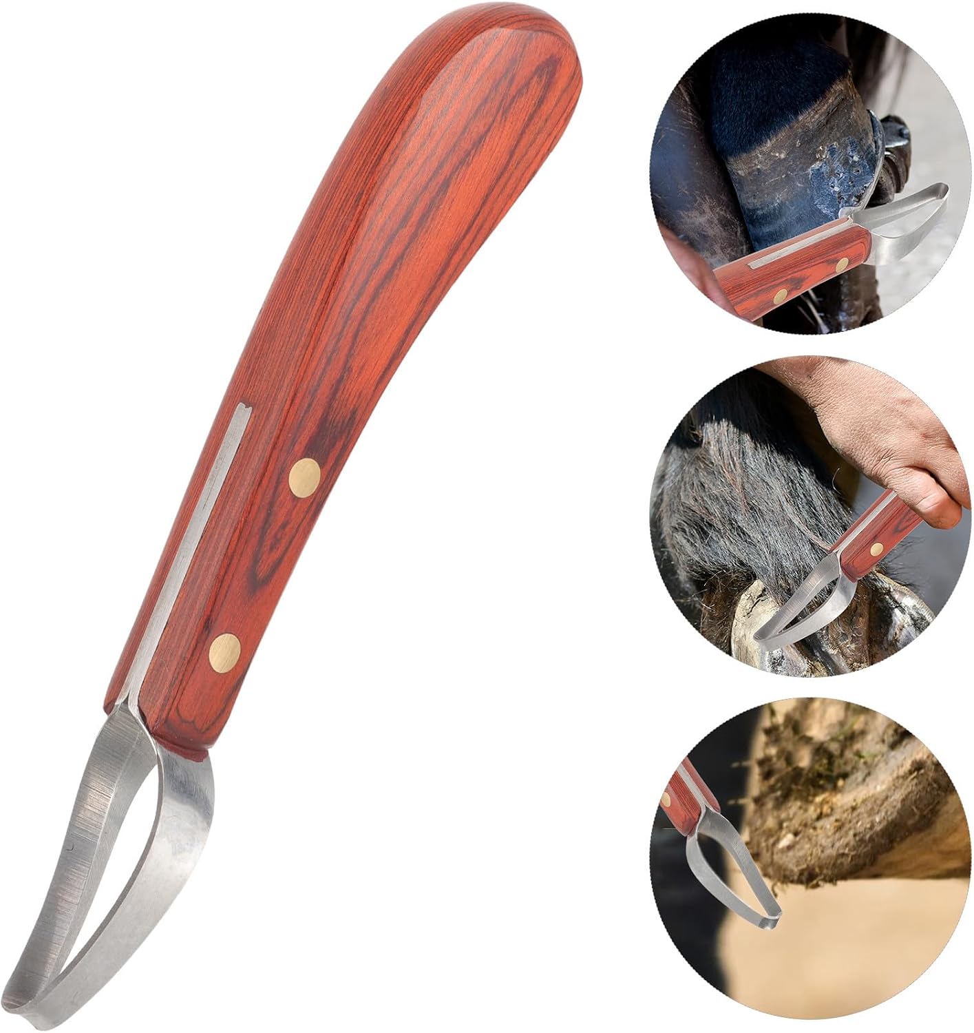 Manganese Steel Hoof Trimmer and Wear-Resistant Reusable Hoof Cutter Compact Farrier Tool for Daily Use in Horse Care