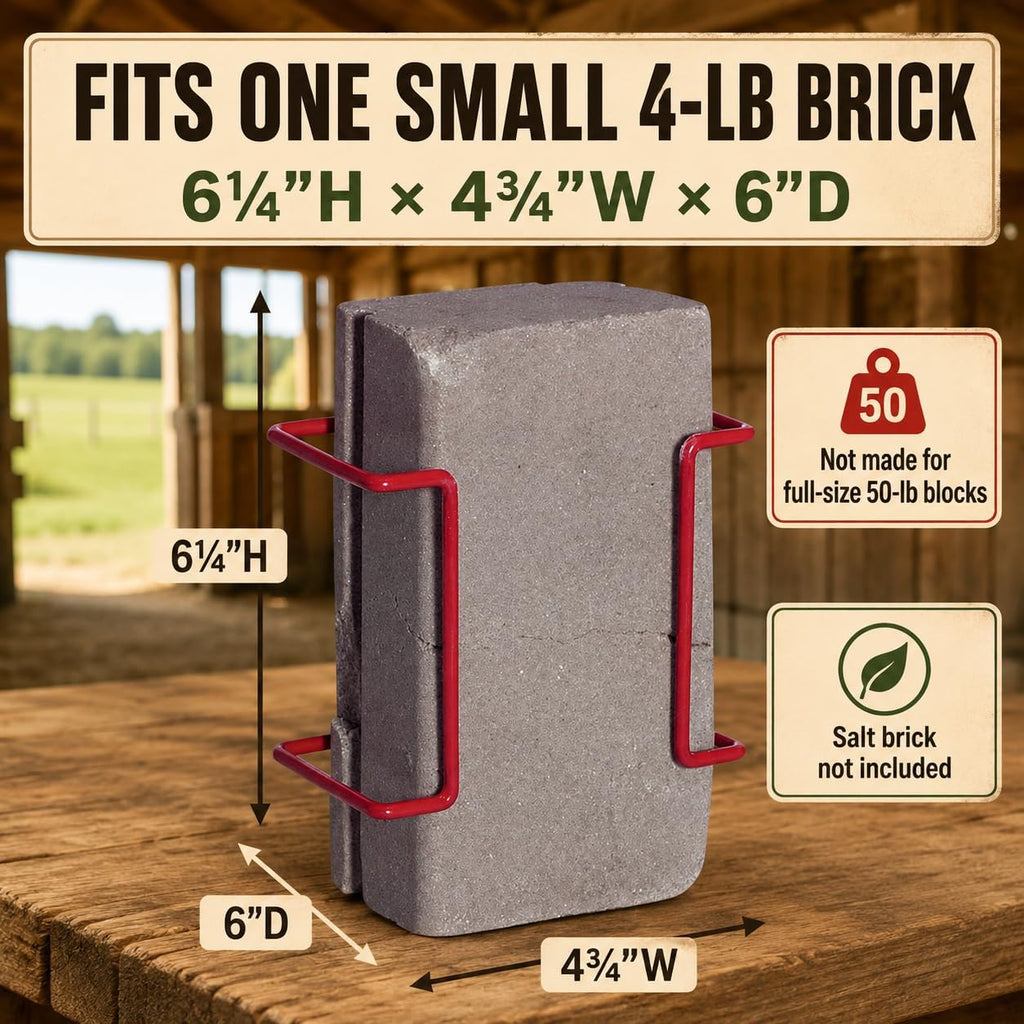 4 lb Salt Block Holder for Horses & Goats, Color Varies