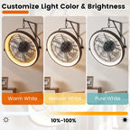 20" Wall Mounted Fan with Dimmable LED Light, 6 Wind Speeds & Timer