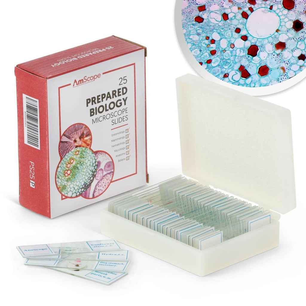 PS25P 25pc Prepared Glass Microscope Slides in Plastic Case | 25 Prepared Slides Professionally Stained & Labeled