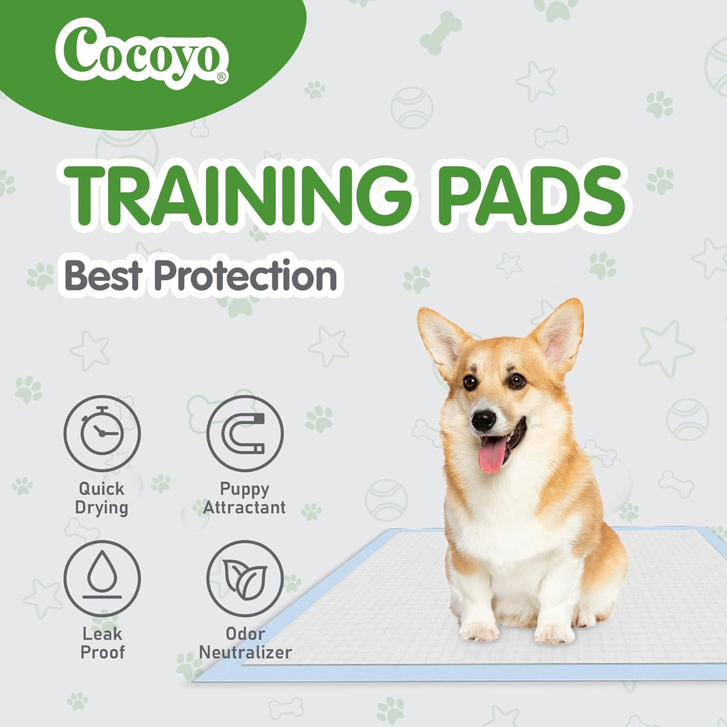 Best Value Dog Training Pads Giant Size | Dog Pee Pads XXXL Size | Super Absorbent Puppy Pads (30" x 45", 30 Count)