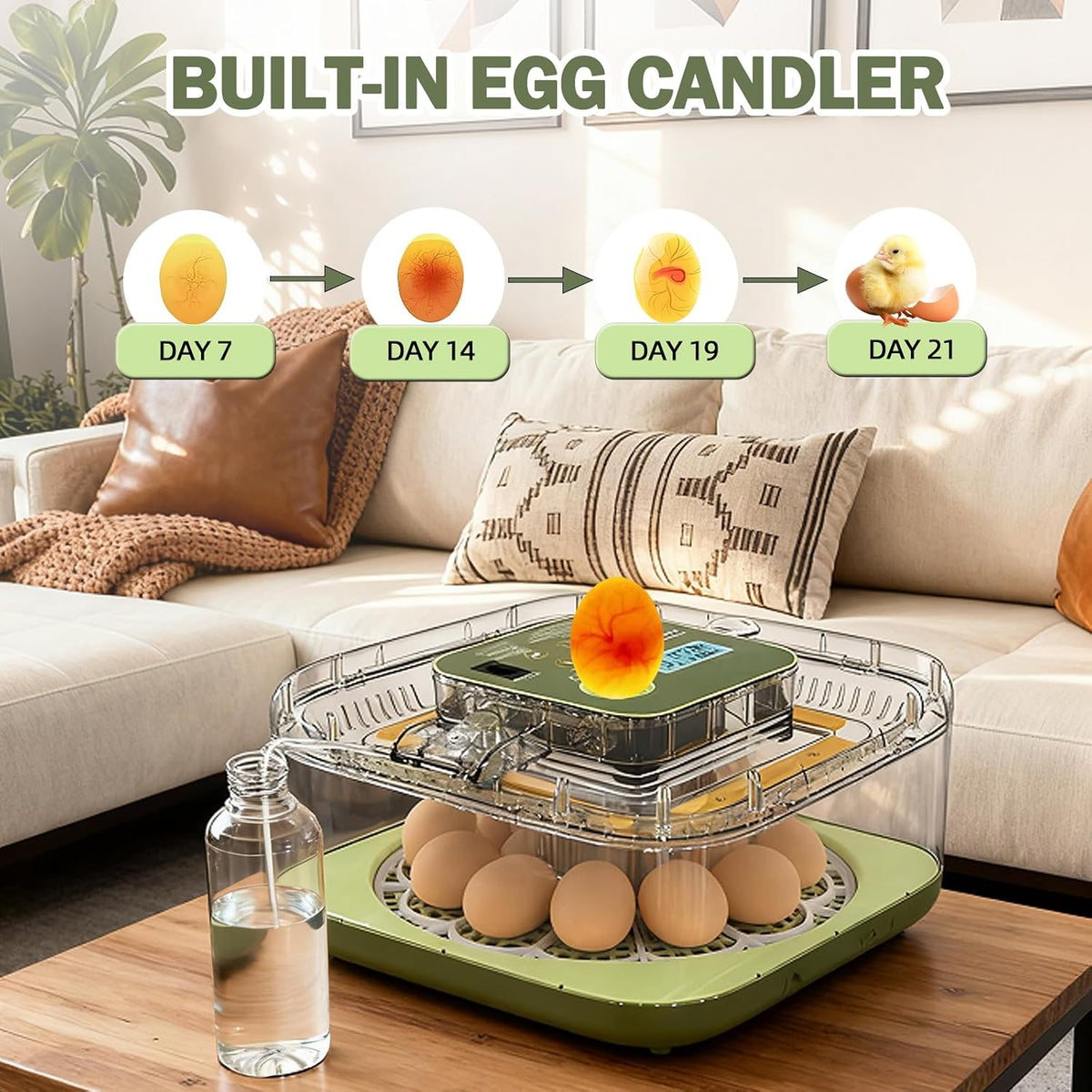 Incubator for Hatching Egg, 12 Egg Incubators with Temperature and Humidity Control, Automatic Turner, Candler, 360°