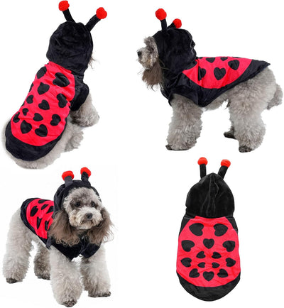 Ladybug Dog Cat Costume for Halloween, Small