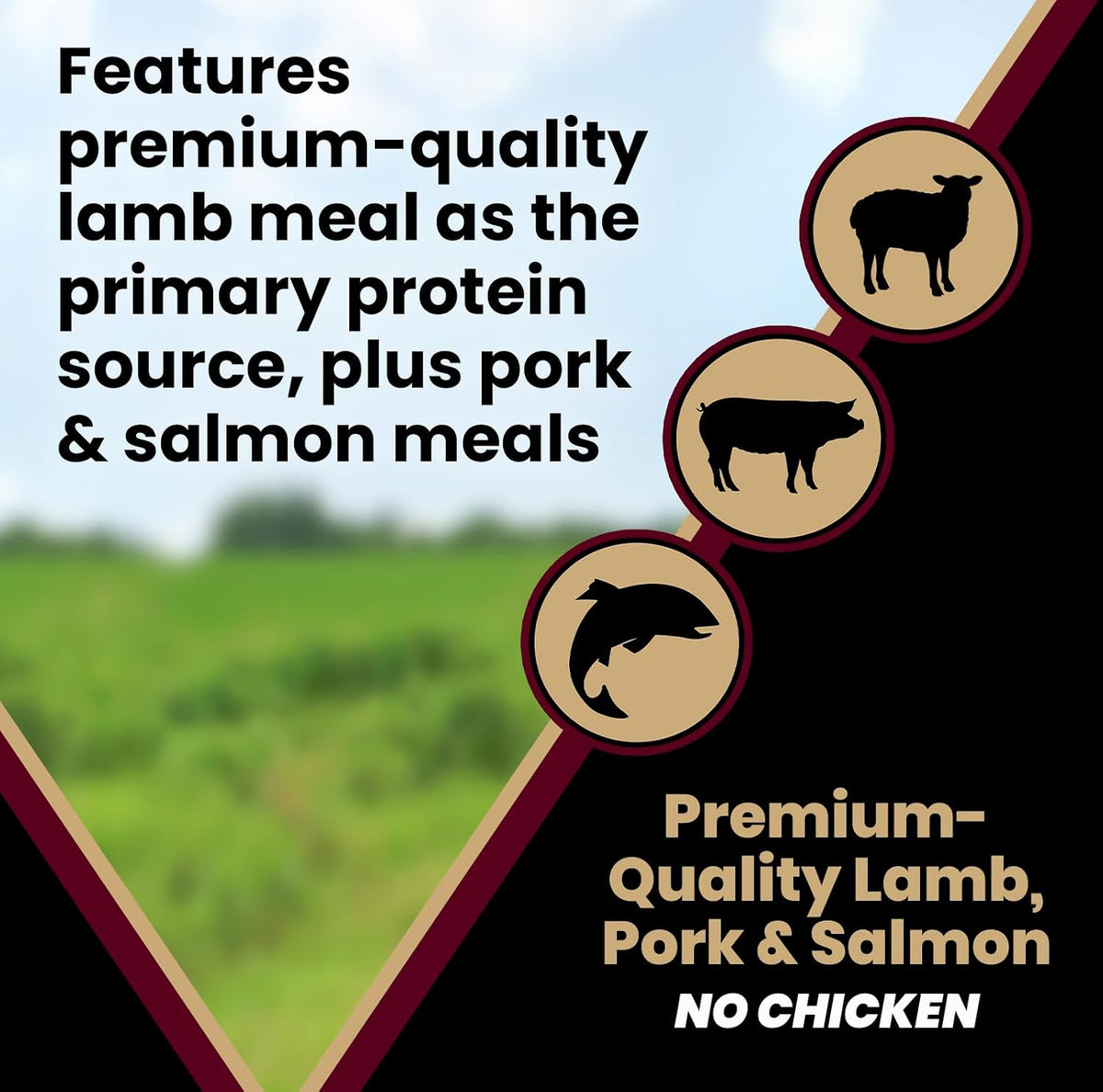 Sensitive Skin & Stomach - Lamb Meal & Sweet Potato Dog Food, 5 lb