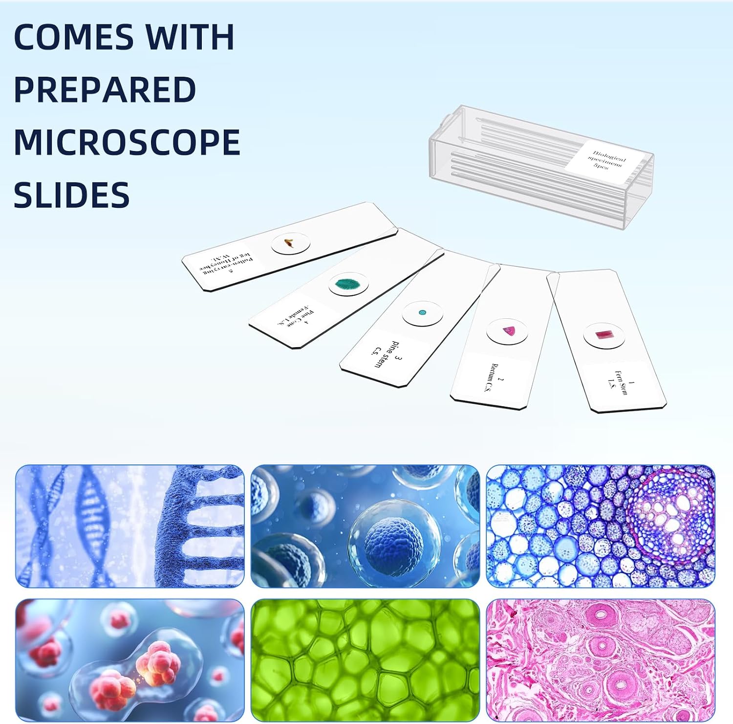 40-2000X Compound Microscope for Kids Adults Beginners | Lightweight Metal-Made / LED Light / Prepared Slide Kit and