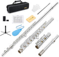 16-Key Closed Hole C Flute Advanced Upgraded Silver Full Kit, EFL-1S