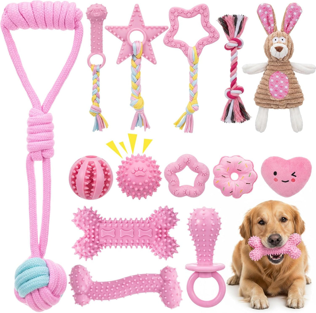 14 Pcs Puppy Toys for Teething Dog Chew Toys for Small Dogs Soft Interactive Squeaky Plush Balls Doggy Teeth Tug of