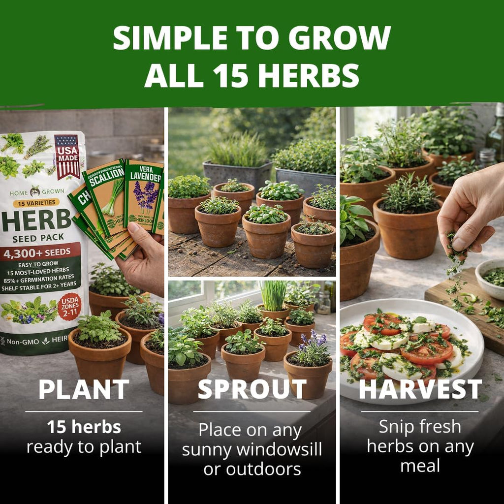 Herb Seeds for Planting 15-Pack Massive Seed Count 4,300+ Seeds Non-GMO Heirloom | Extra Large | Culinary Herb Kit