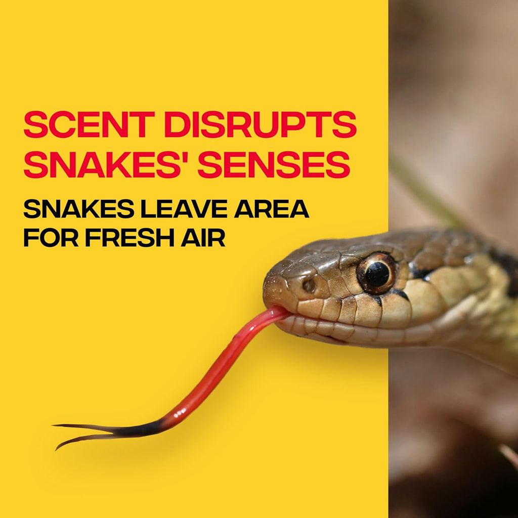 Snake-A-Way Outdoor Snake Repellent Granules for Yard, 10 lb Bag | EPA-Registered Pest Control, Repels Venomous and