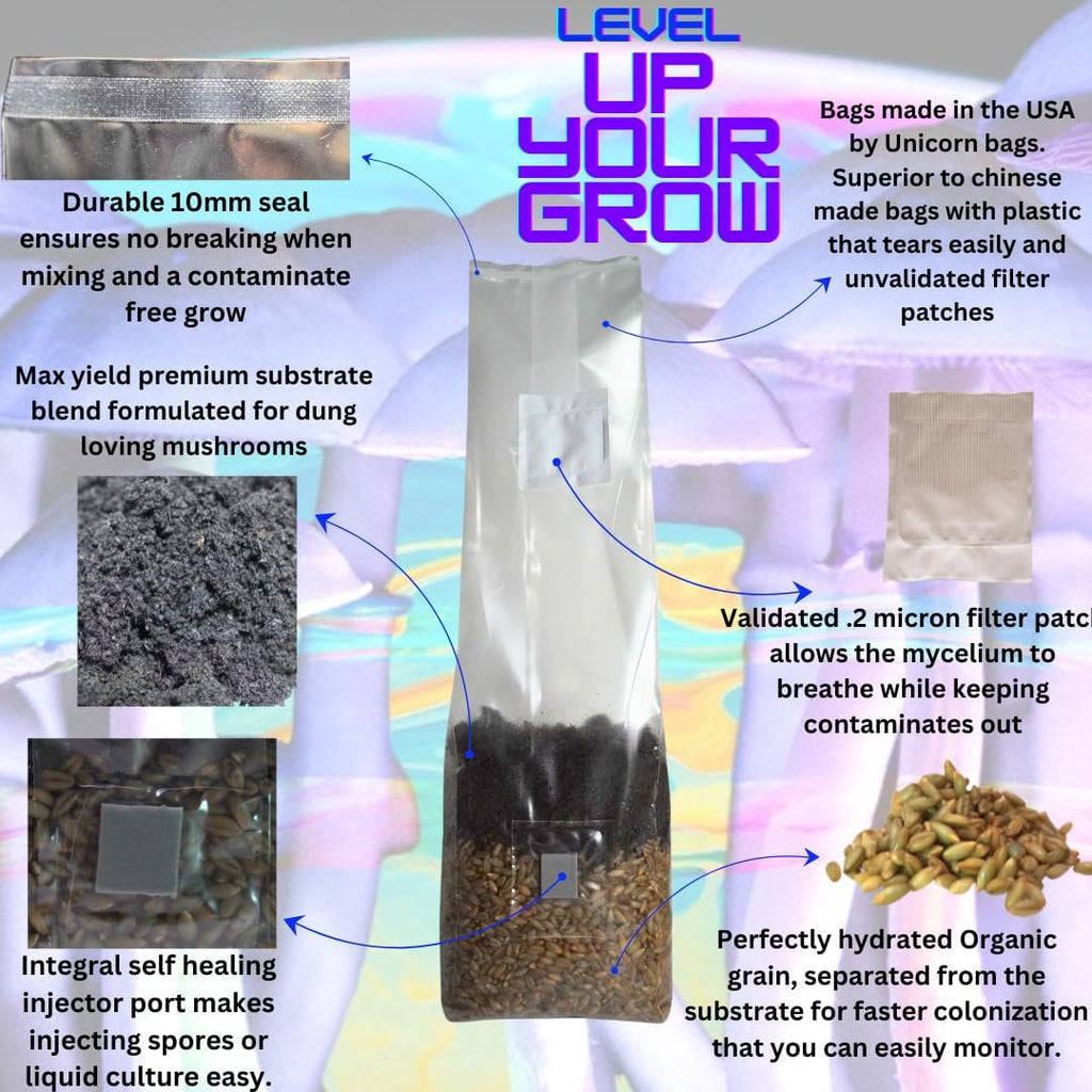 Mushroom Grow Kit - All in One Mushroom Grow Bags (Pack of 2)