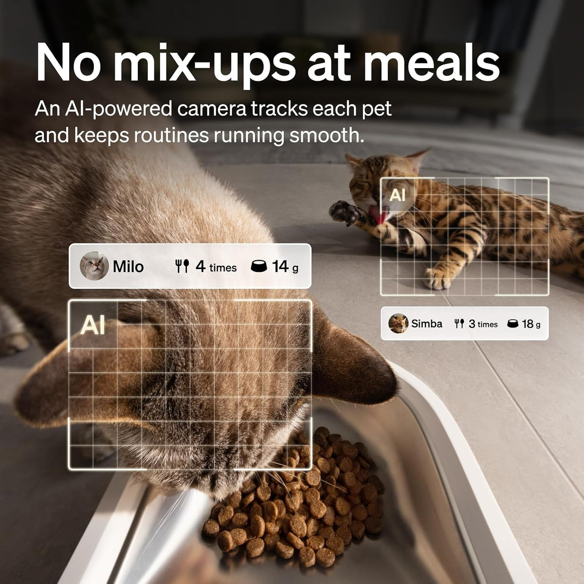 Automatic Cat Feeder with Camera, Scale AI Smart Food Intake Track