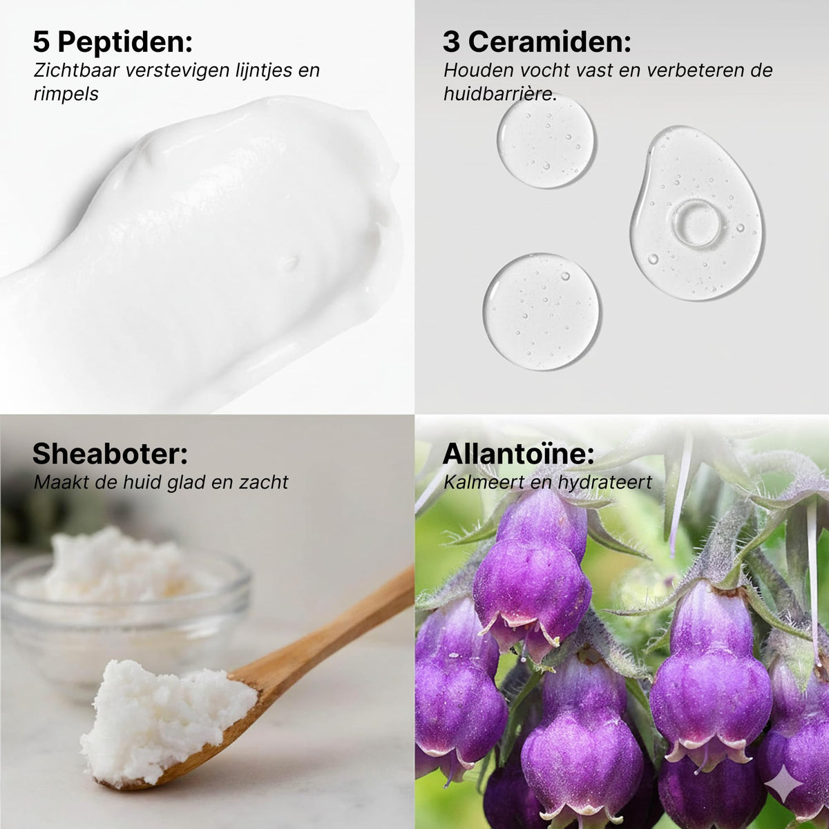 Peptide Night Cream | Hydrating Firming Moisturizer