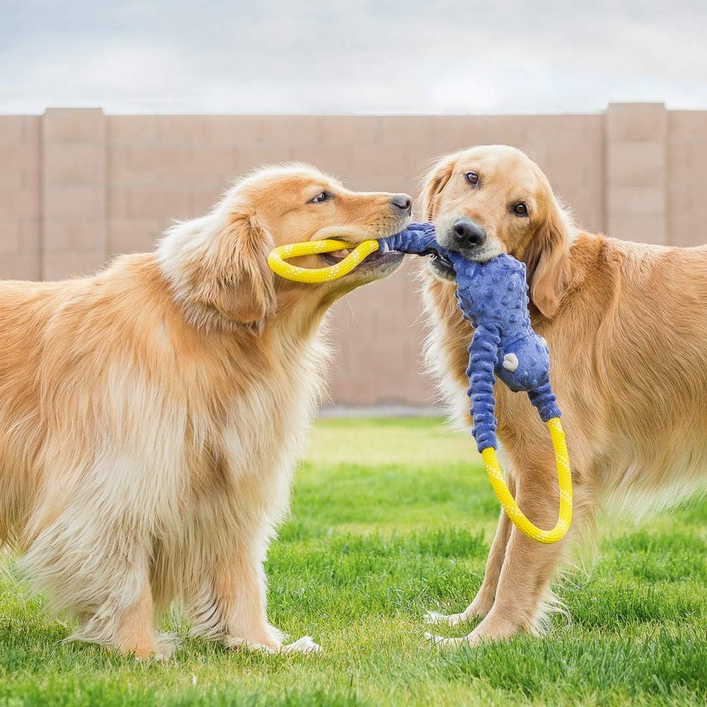 RopeTugz Durable Dog Pull Rope Toy - Blue Monkey