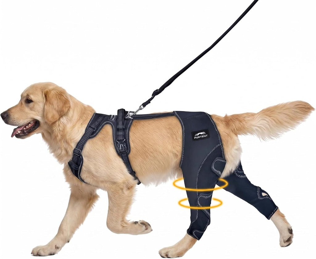 Dog Knee Braces for Back Leg, Dog Knee Brace for Torn ACL Hind Leg Support, Adjustable Dog ACL Brace for Hind Leg