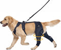 Dog Knee Braces for Back Leg, Dog Knee Brace for Torn ACL Hind Leg Support, Adjustable Dog ACL Brace for Hind Leg