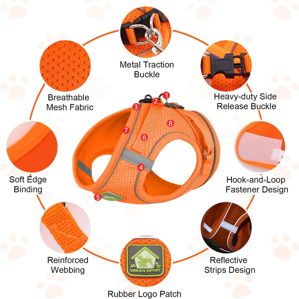 Cat Harness and Leash, Cat Harness and Leash Escape Proof (Blue-M)