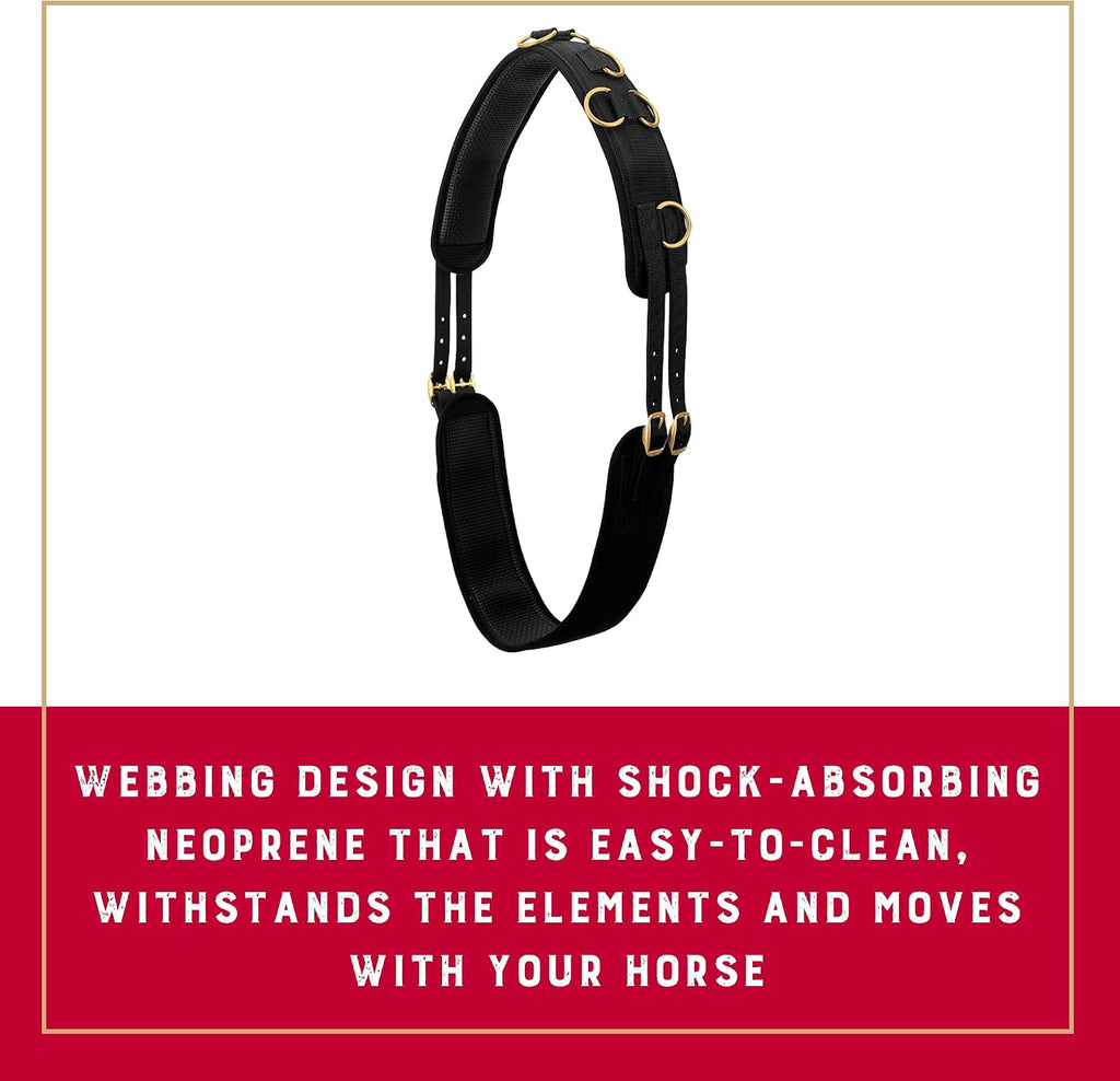 Adjustable Surcingles for Horses with Shock-Absorbing Neoprene, Brass Plated Buckles & Dee Rings for Side Reins, Fits