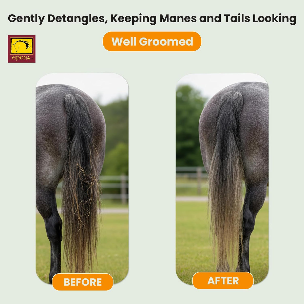 Queens Mane & Tail Brush