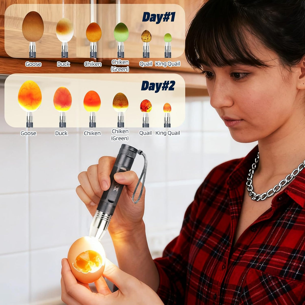 Egg Candler Light Rechargeable USB Eggs Candling Tester