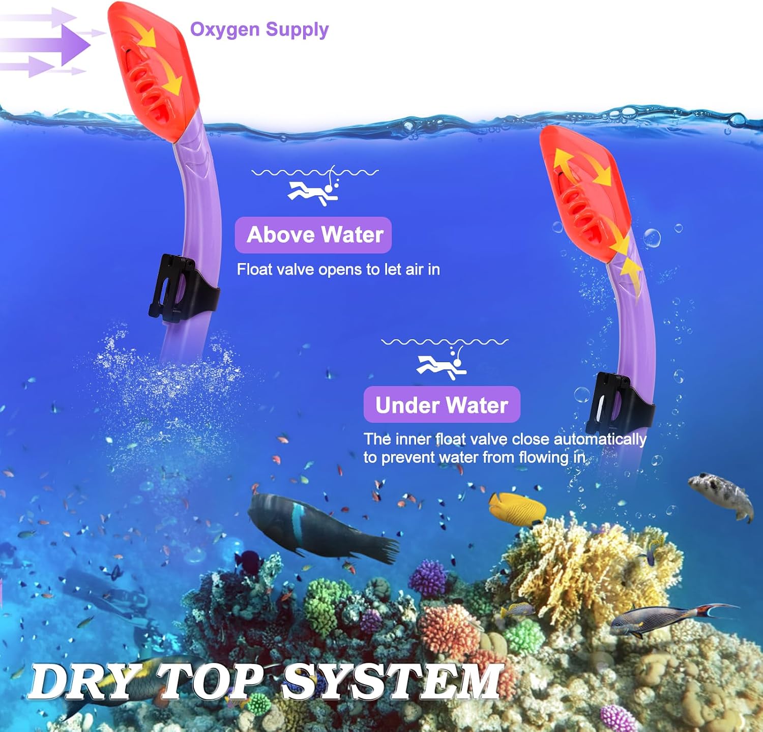 2 Sets Snorkeling Gear for Kids, Kids Snorkel Set for Ages 6-14, Dry Top Snorkel Mask Set for Youth Boys Girls