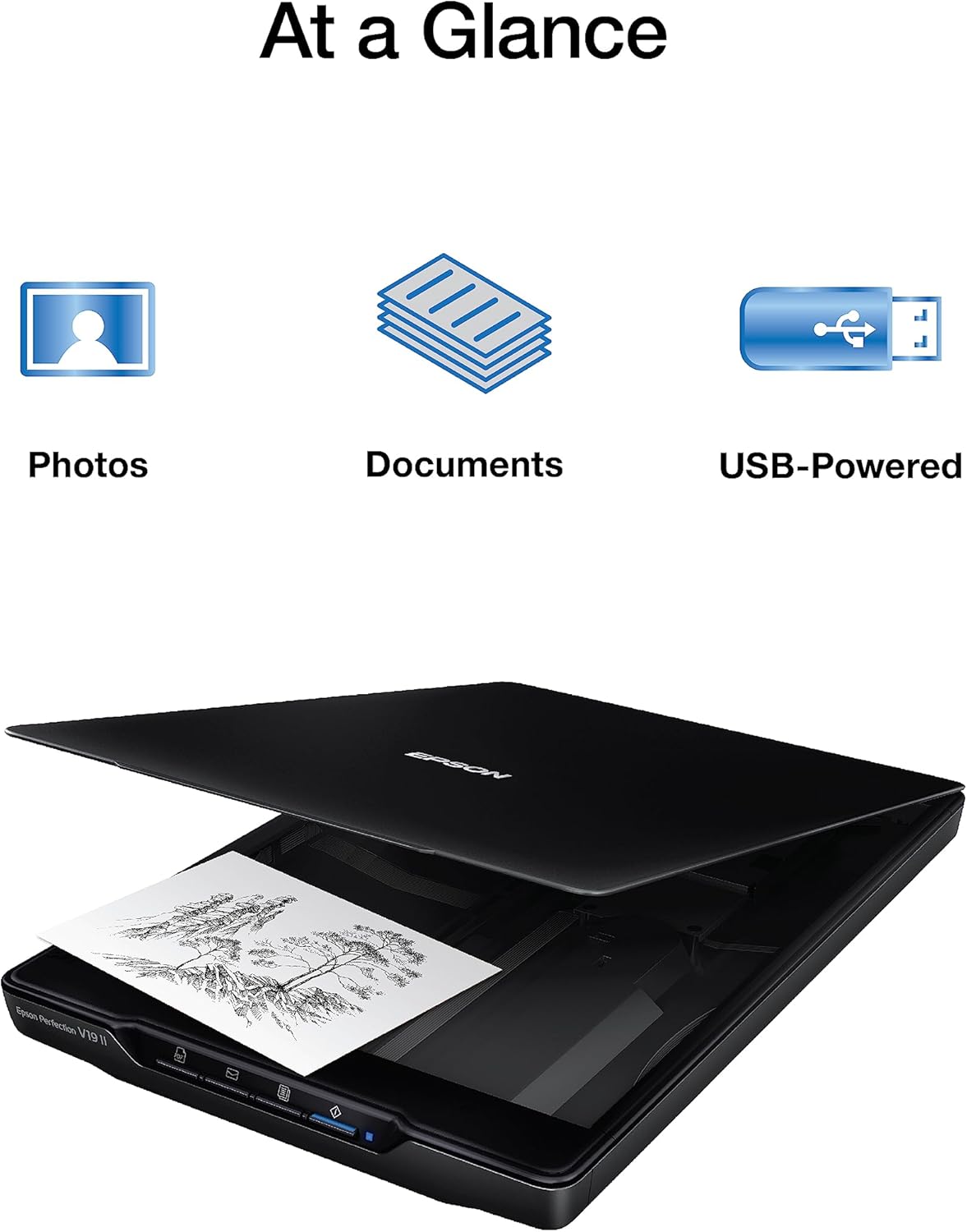 Perfection V19 II Flatbed Photo Scanner 4800 dpi Optical Resolution | USB Power High-Rise Removable Lid for Documents