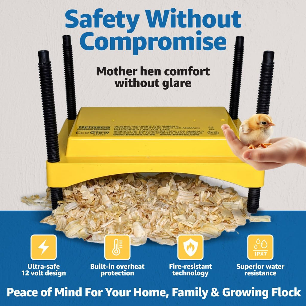 Ecoglow Safety 600 Chick or Duckling Brooder, Up to 20 Chicks