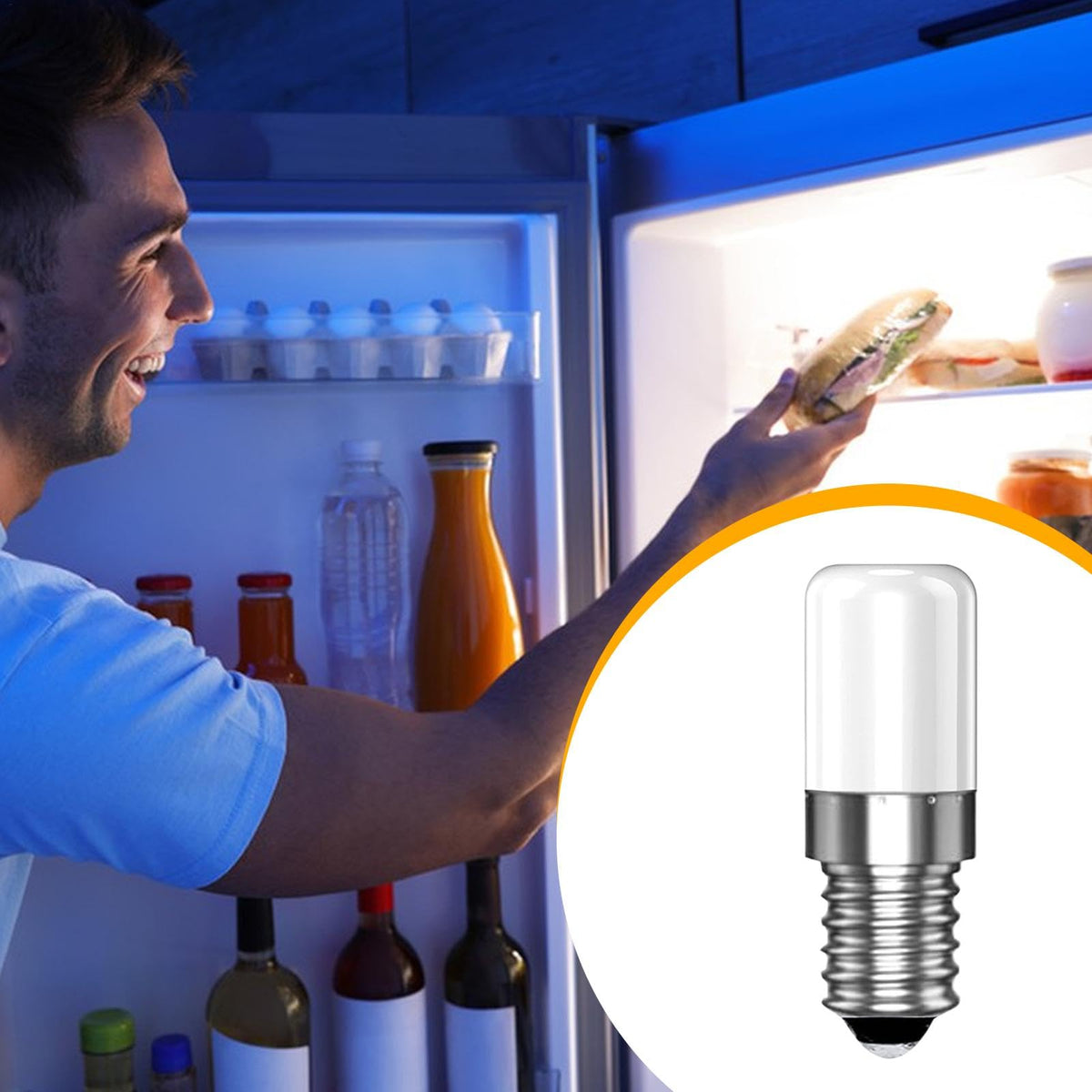 Refrigerator Lights 2W 200LM Lighting Replacements