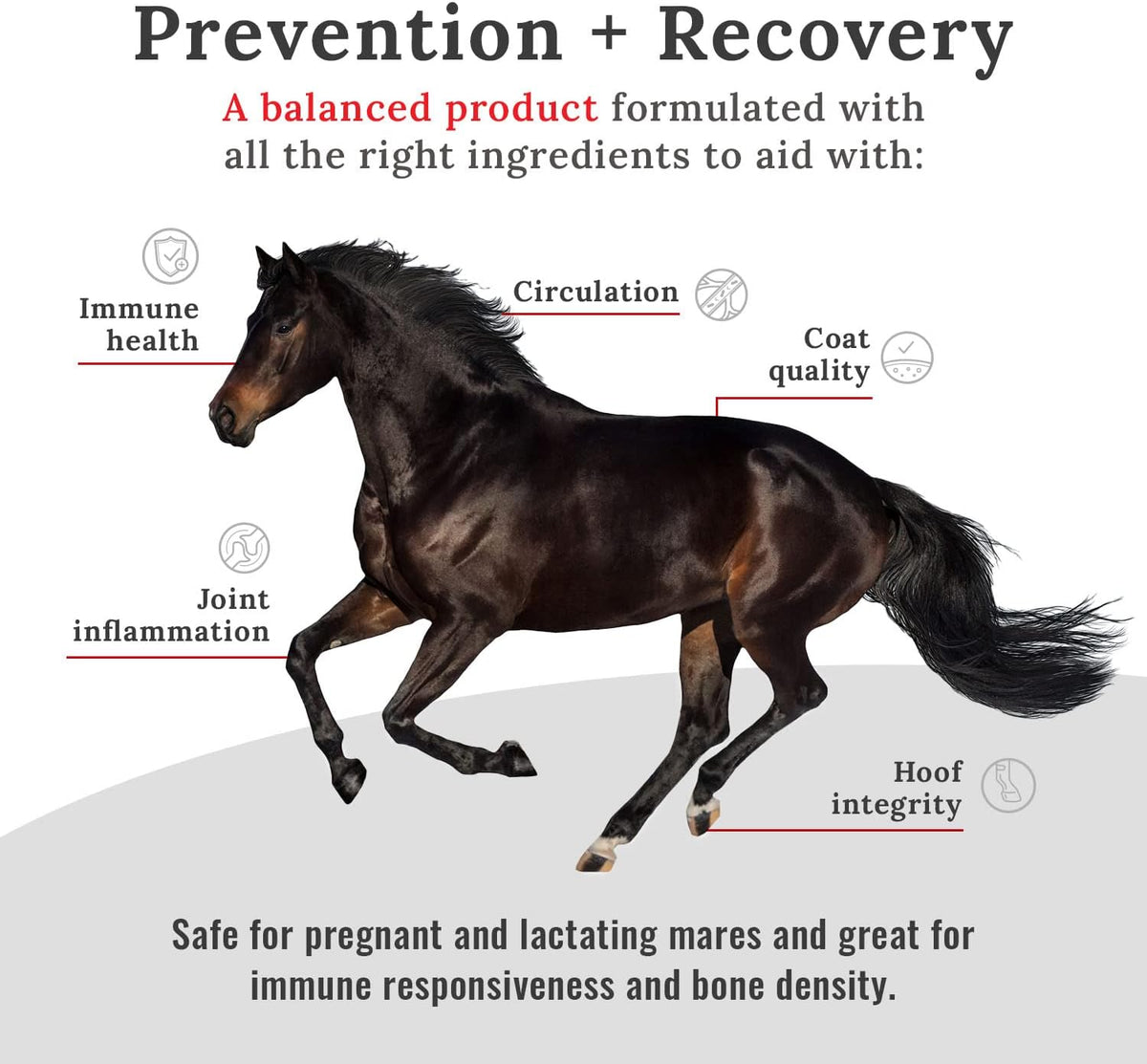 Joint Horse Supplements, Equine Pelleted Supplement, All Natural Joint Care Supplement for Horses, 10 lbs