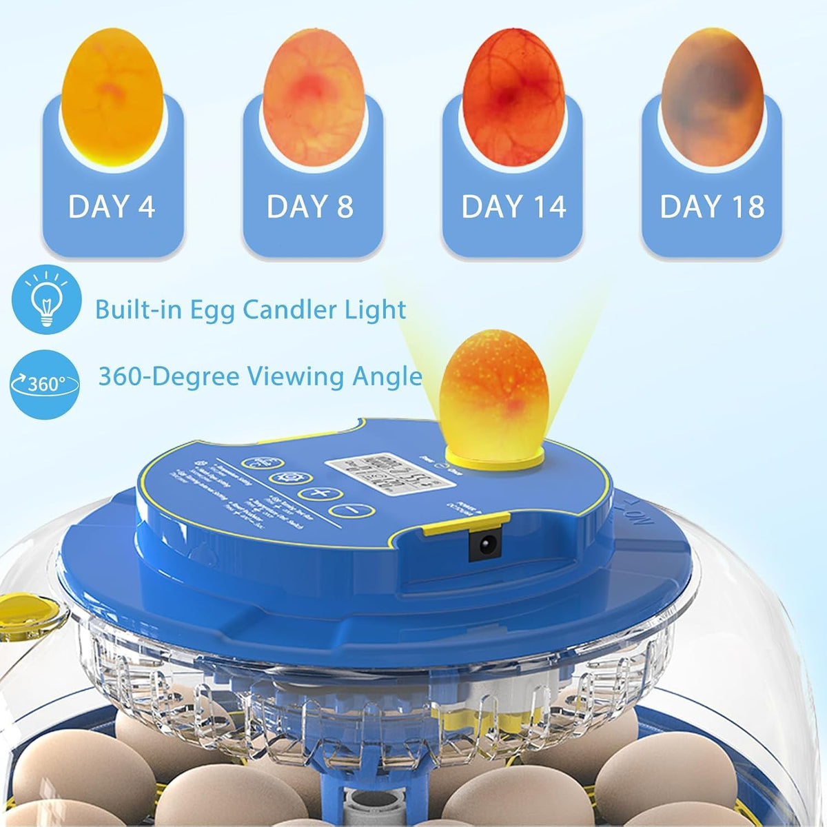Incubators for Hatching Eggs, 18 Egg Incubator with Automatic Egg Turning and Humidity Control, 360° View Incubadora