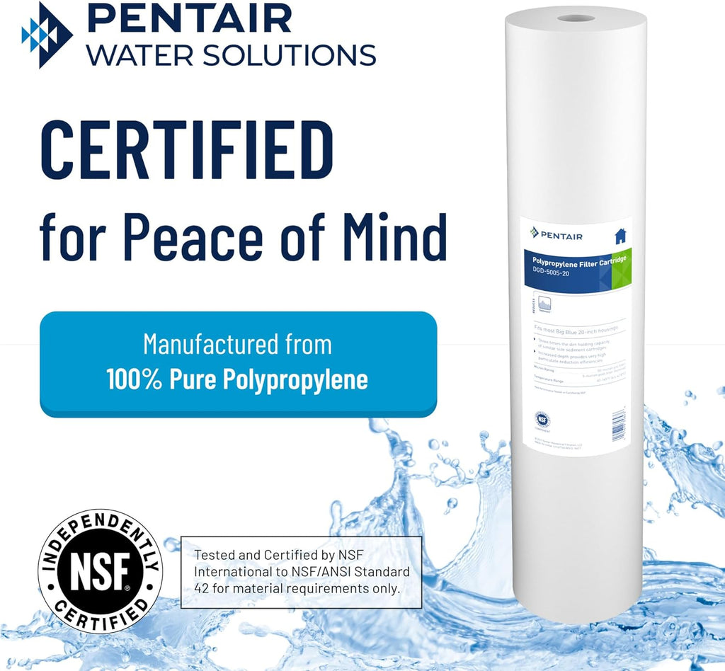 Pentair Pentek DGD-5005-20 Big Blue Whole House Sediment Filter
