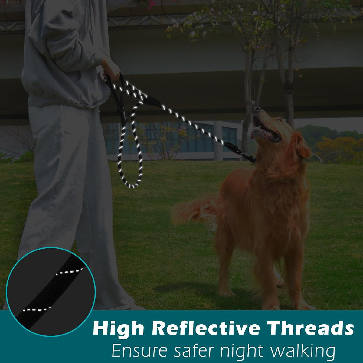 Two Handles Dog Leash, 5FT Pet Rope Leash with Quick Release Clip