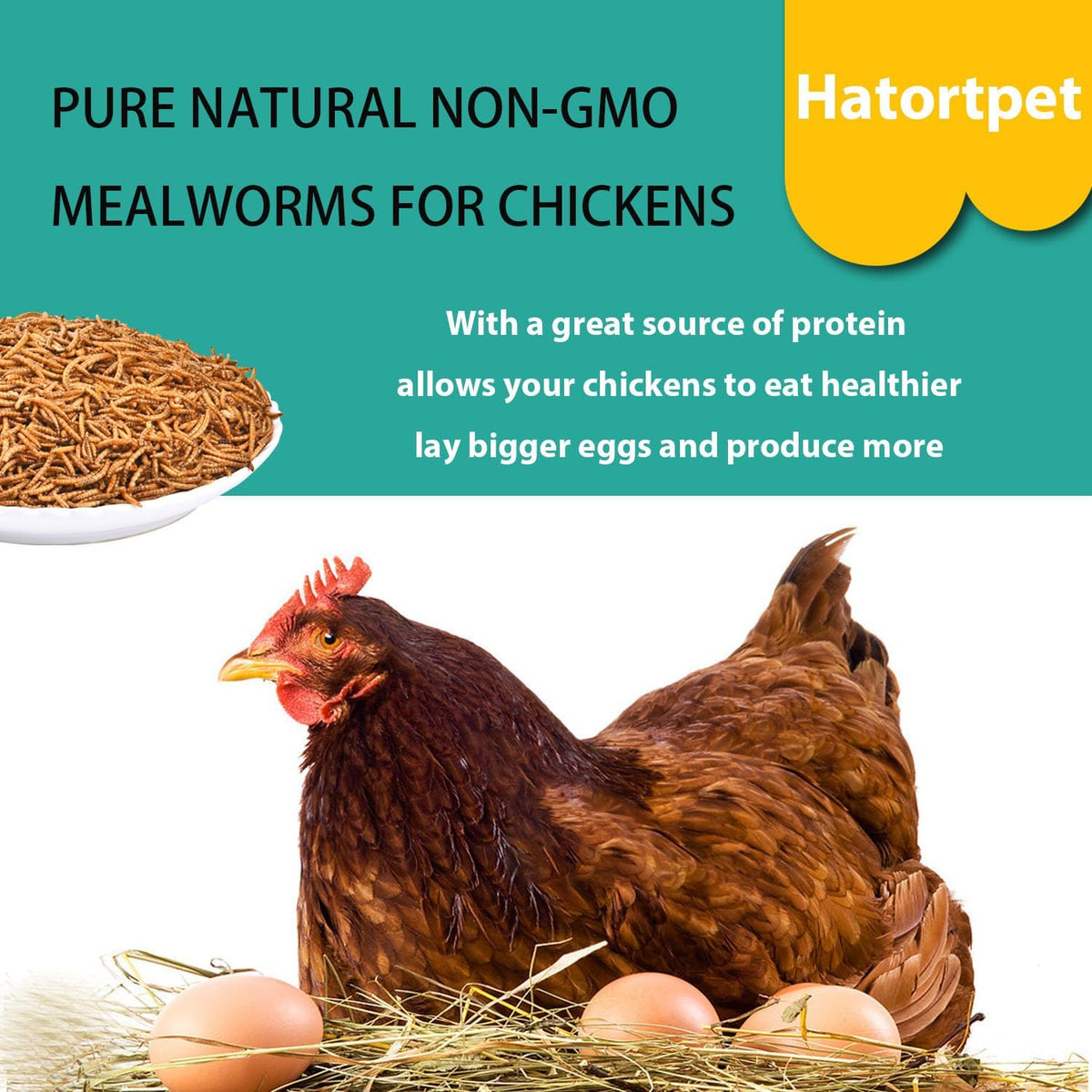 Dried Mealworms 10LB Pure Natural Chicken Treat for Laying Hens Wild Bird